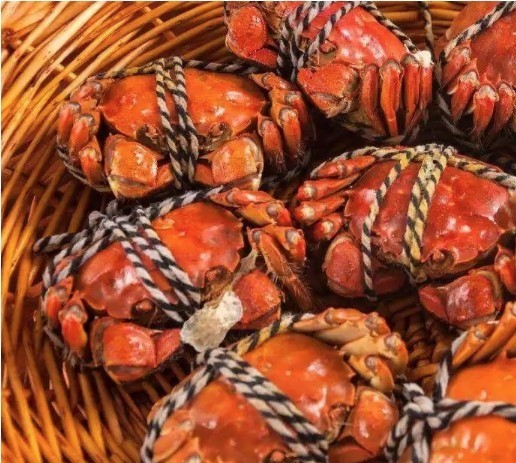 陽(yáng)澄湖大閘蟹