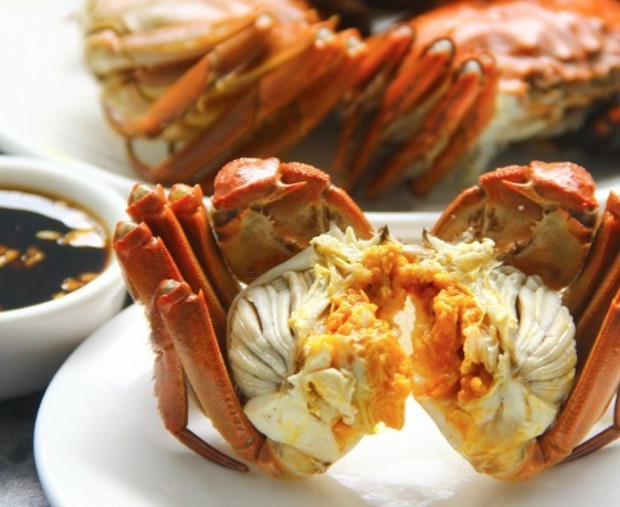 陽(yáng)澄湖大閘蟹