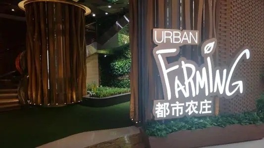都市農(nóng)場(chǎng)