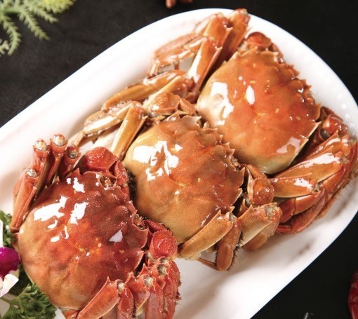 水司令陽澄湖大閘蟹