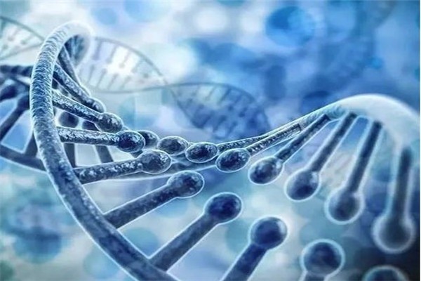 問基因基因檢測