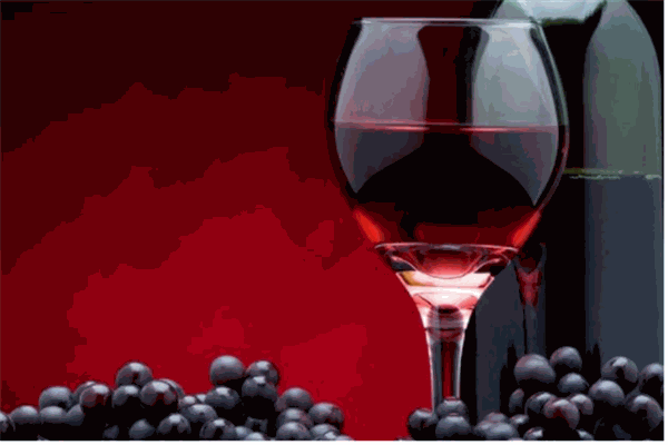 金納德酒業(yè)