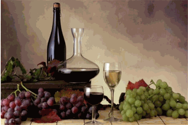 考拉紅酒業(yè)