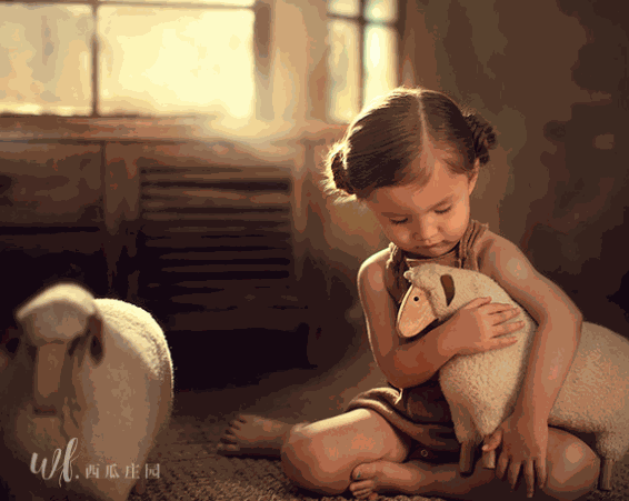 西瓜莊園兒童攝影