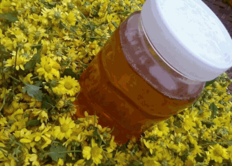 星蜂園蜂產(chǎn)品