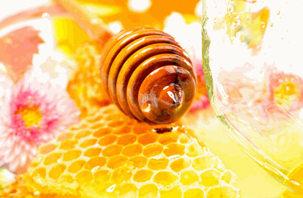 蜜蜂部落蜂產(chǎn)品