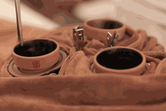 中華無(wú)極灸保健養(yǎng)生