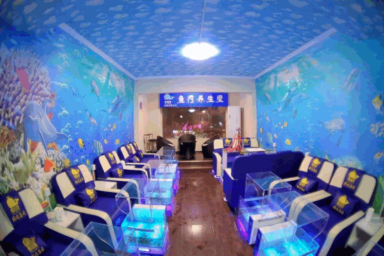 樂嘴魚風(fēng)情魚療生活館