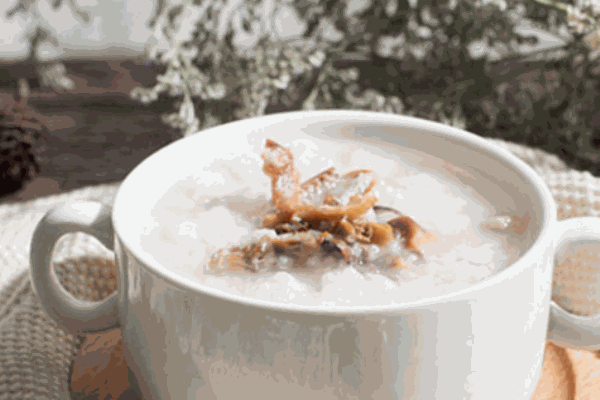 四季養(yǎng)生粥鋪