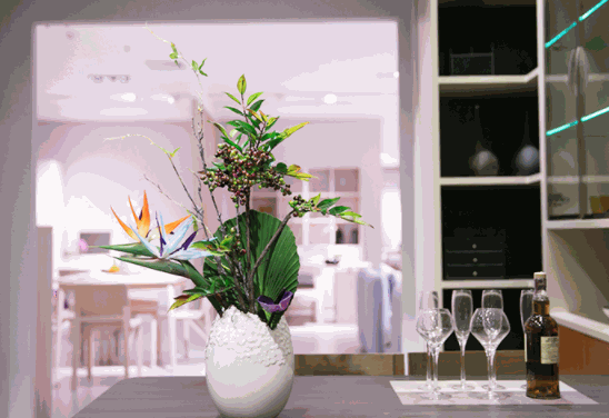 極樂(lè)鳥(niǎo)家居用品