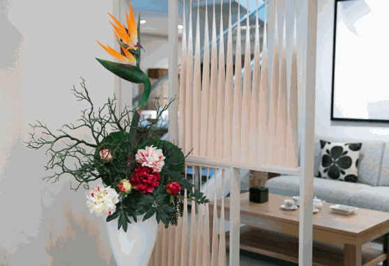 極樂(lè)鳥(niǎo)家居用品