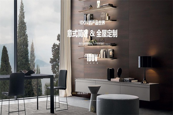 艾杜維定制衣柜