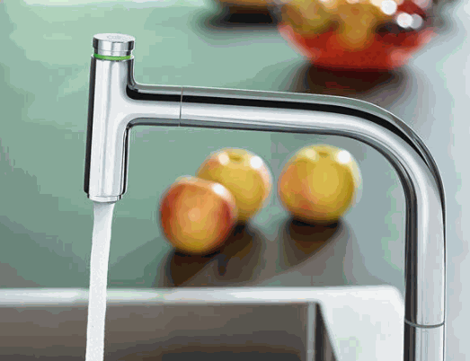 漢詩格雅廚衛(wèi)