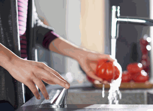 漢詩格雅廚衛(wèi)