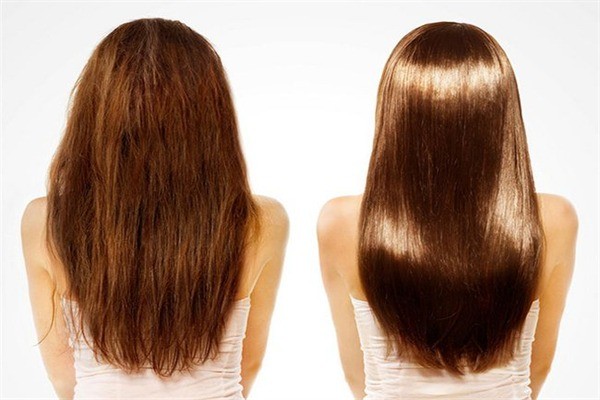 毛發(fā)康養(yǎng)發(fā)護發(fā)