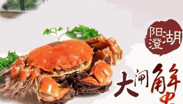 澄宇陽澄湖大閘蟹