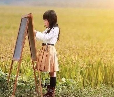 稻田美術(shù)教育