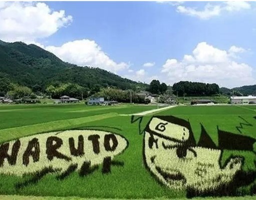 稻田美術(shù)教育