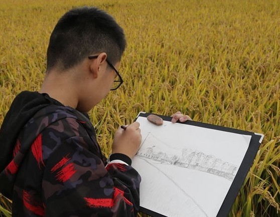 稻田美術(shù)教育