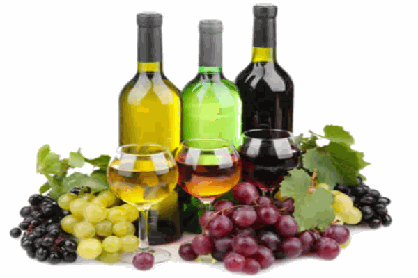 卡斯特爾葡萄酒