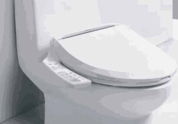 樂瑞智能座便器