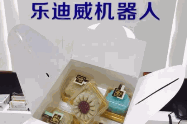 樂迪威機(jī)器人