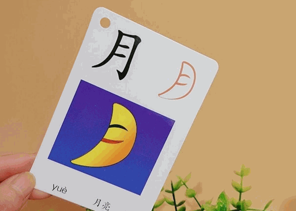 兒童快速識(shí)字