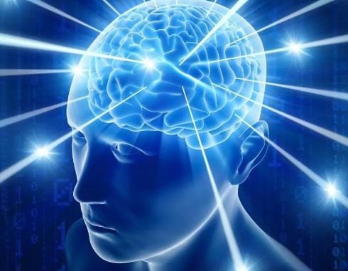 華之驕子右腦潛能開發(fā)