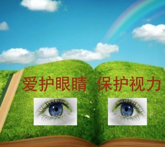 向陽(yáng)花視力