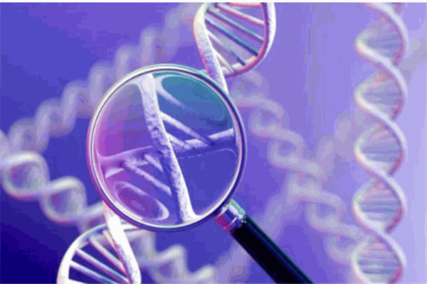 賽樂湃基因檢測