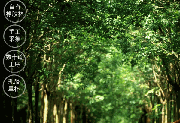 泰妃爾內(nèi)衣