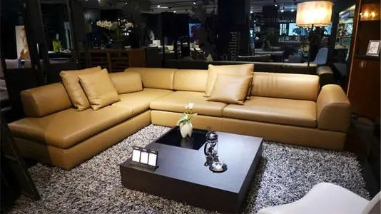 德國(guó)牛蛙家具