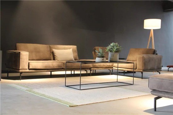 德國(guó)牛蛙家具