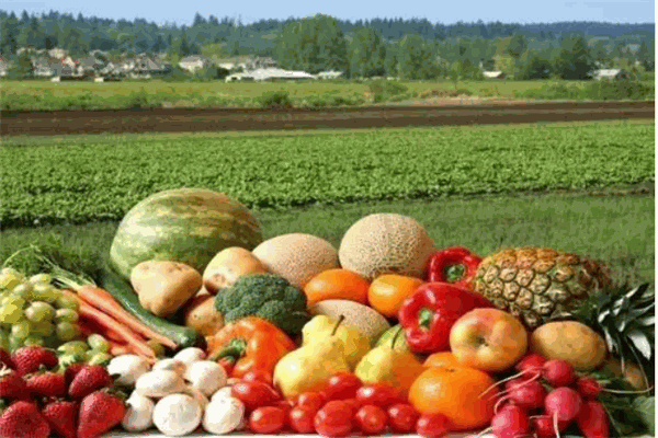 土吧嚕休閑食品