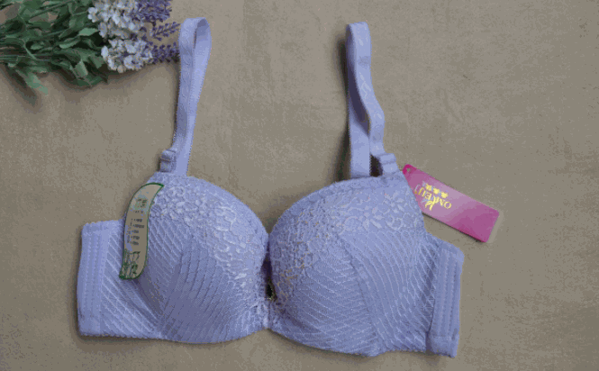 耶勒女士內(nèi)衣