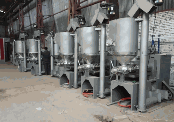 樂(lè)發(fā)榨油機(jī)