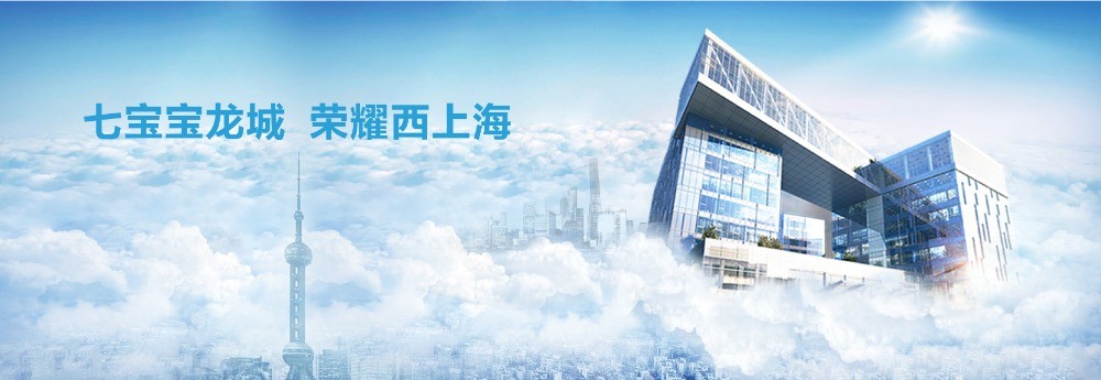 寶龍網(wǎng)絡(luò)