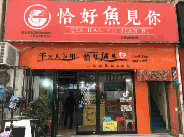 恰好魚見你酸菜魚