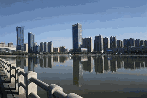 森合律師事務所