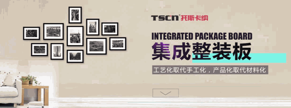 TSCN托斯卡納集成墻面