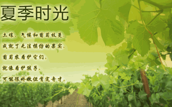 藍(lán)奧葡萄酒