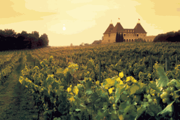 愛思丹露葡萄酒