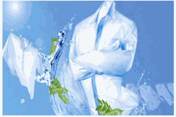 第一站洗護(hù)店