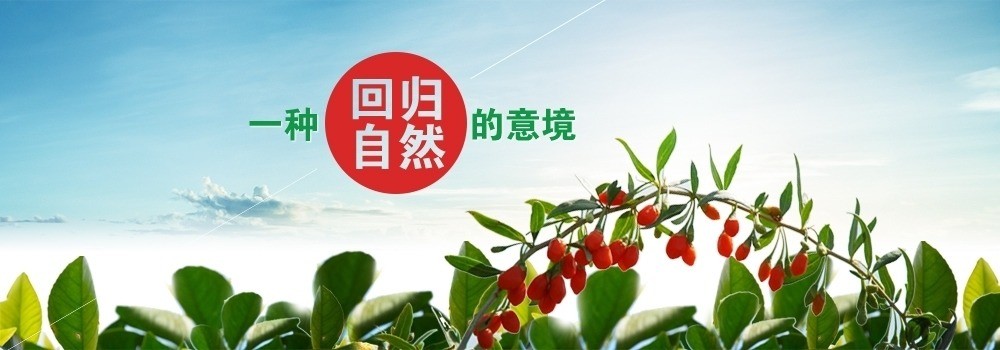 杞鄉(xiāng)春調味品