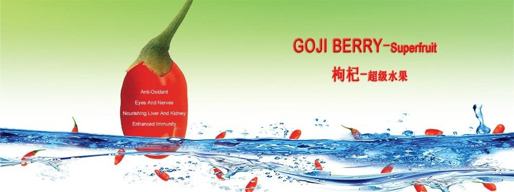 杞鄉(xiāng)春調味品