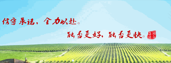 舒克曼調(diào)味品