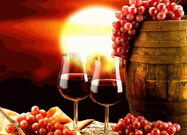 九日高飛葡萄酒莊