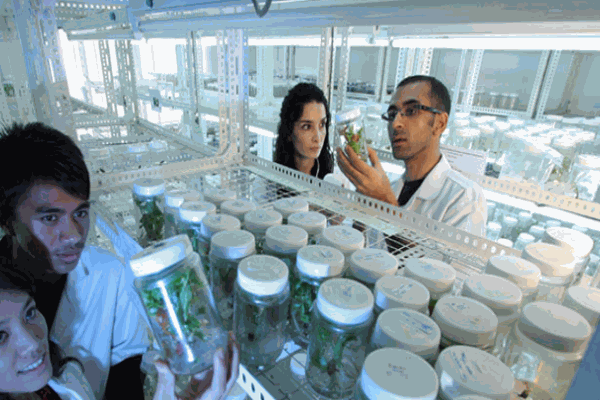 健力園無(wú)糖食品