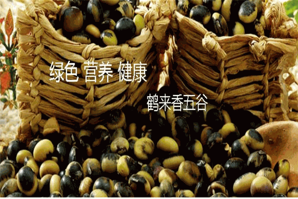 鶴來(lái)香食品