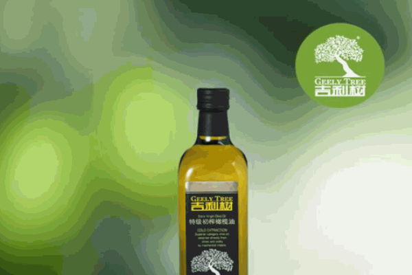吉利樹橄欖油
